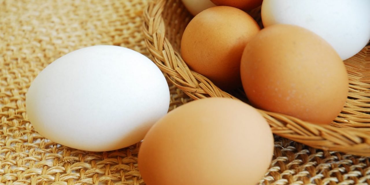 Het houdt maar niet op: Fipronil in eieren