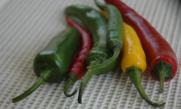 Heet, heter, heetste op de Scovilleschaal