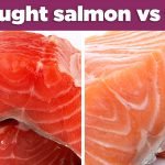 Gekweekte zalm valt ook onder ‘junkfood’