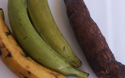 Bakbanaan en yuca tostones