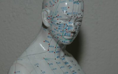 Hoe je van oorzaak, gevolg en gezwam een dikke vette hutspot maakt