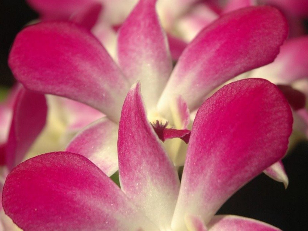 Hoe langer ik (weer) leef hoe mooier het wordt