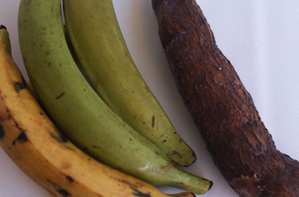 Bakbanaan en yuca tostones