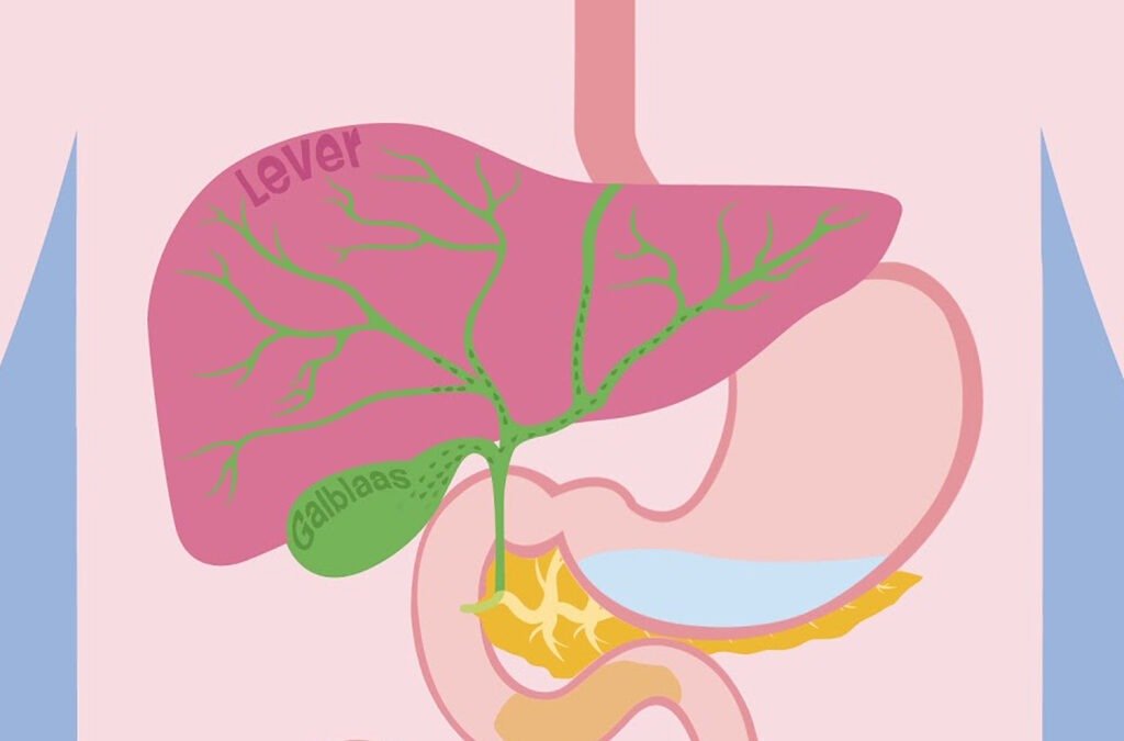Duodenitis, ontstoken twaalfvingerige darm