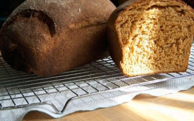 In hoeverre kan ik mijn bakker vertrouwen en hoe lang nog blijven de controlerende instanties in gebreke?