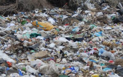 De goede en hele slechte gevolgen van de uitvinding van plastic