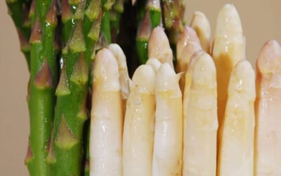 Stinkende urine na het eten van asperges