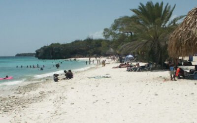 Zonnebrandolie schadelijk voor mens en milieu