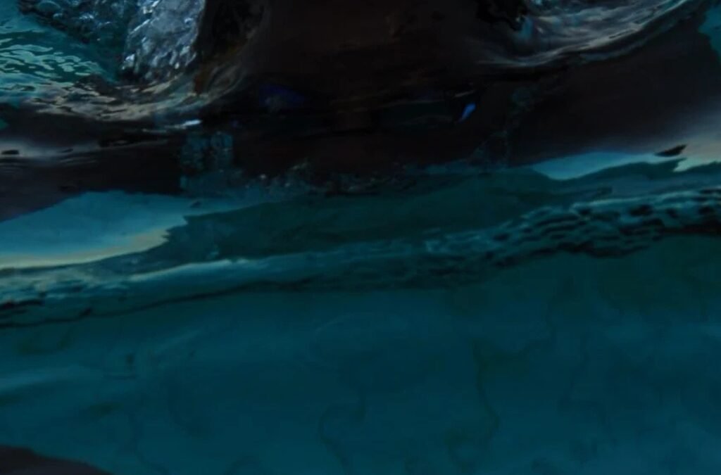 Gezond koppie op en onder