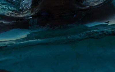 Gezond koppie op en onder