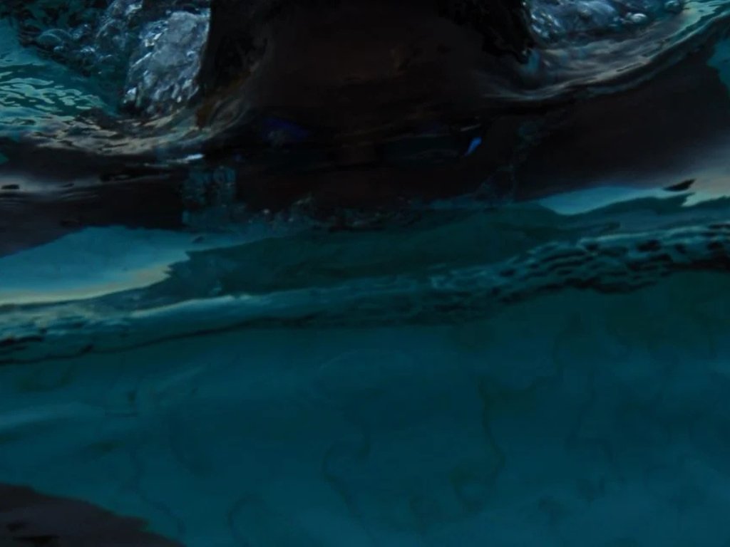 Gezond koppie op en onder