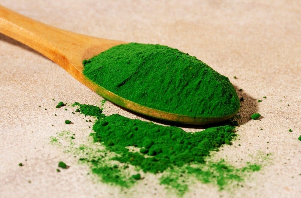 Algen Chlorella