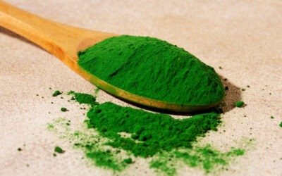 Algen Chlorella