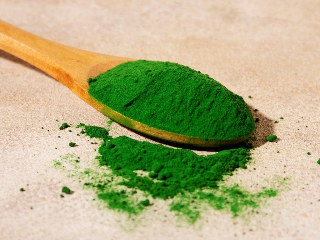 Algen Chlorella