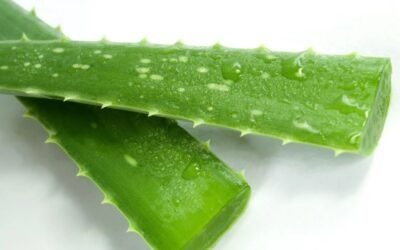 Aloë Vera