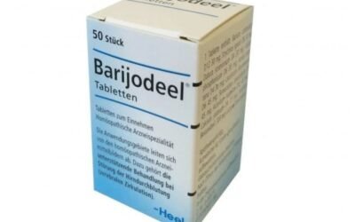 De circulatie van onze hersenen