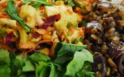 Gezond en Plantaardig