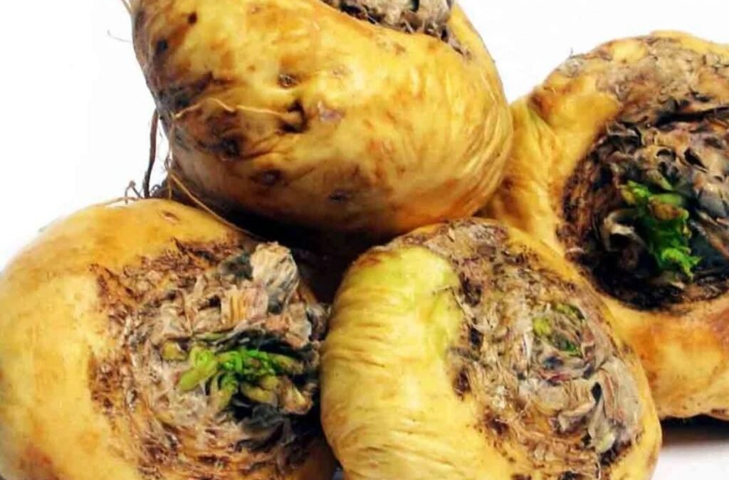 Maca om de hormoonbalans te verbeteren