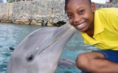 Walvissen en dolfijnen