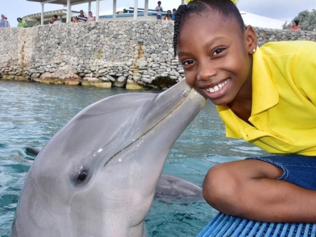 Walvissen en dolfijnen