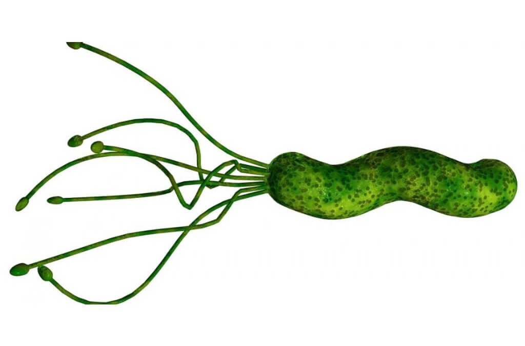 De Helicobacter Pylori anders bekeken