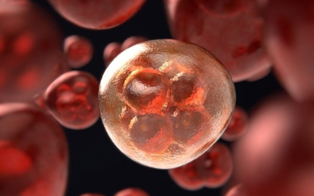 De onbegrijpelijke kankerpreventie