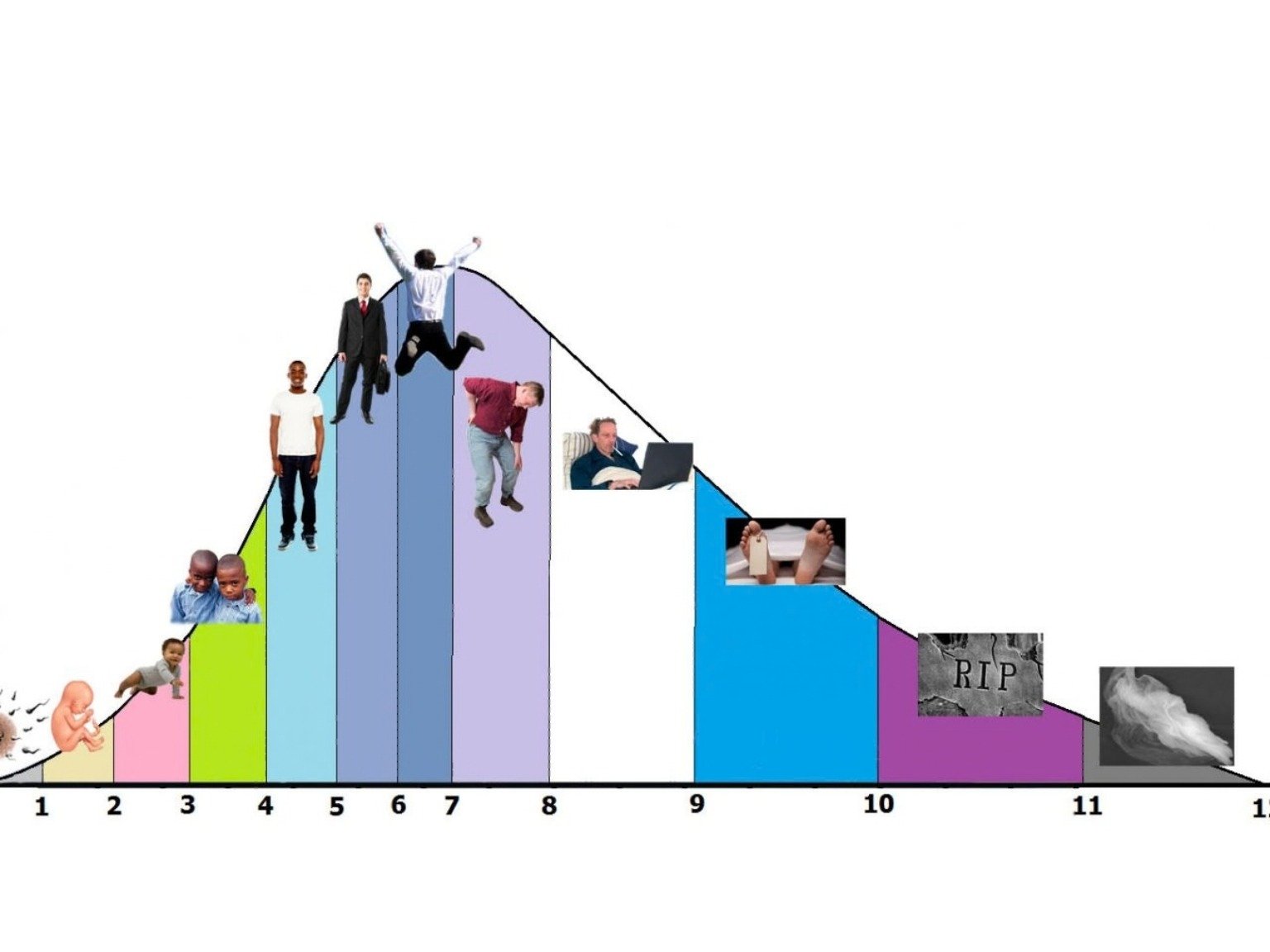 De ontwikkeling van de mens in 12 levensfasen