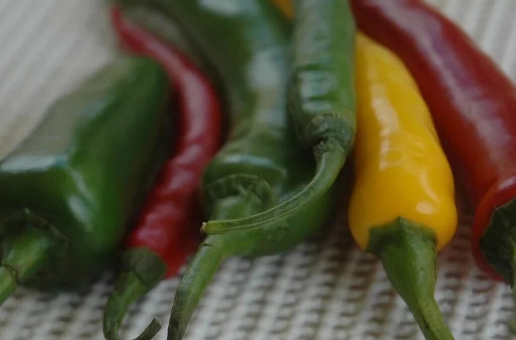 Heet, heter, heetste op de Scovilleschaal