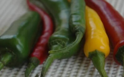 Heet, heter, heetste op de Scovilleschaal