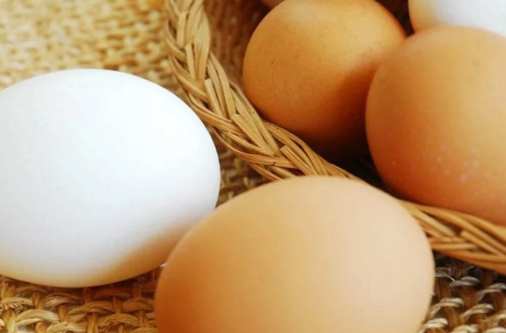 Het houdt maar niet op: Fipronil in eieren