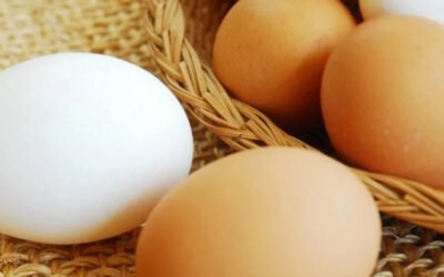 Het houdt maar niet op: Fipronil in eieren