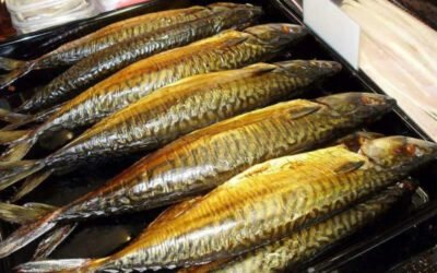 Makreel rijk aan Omega 3