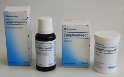 Het Lymfevaatstelsel