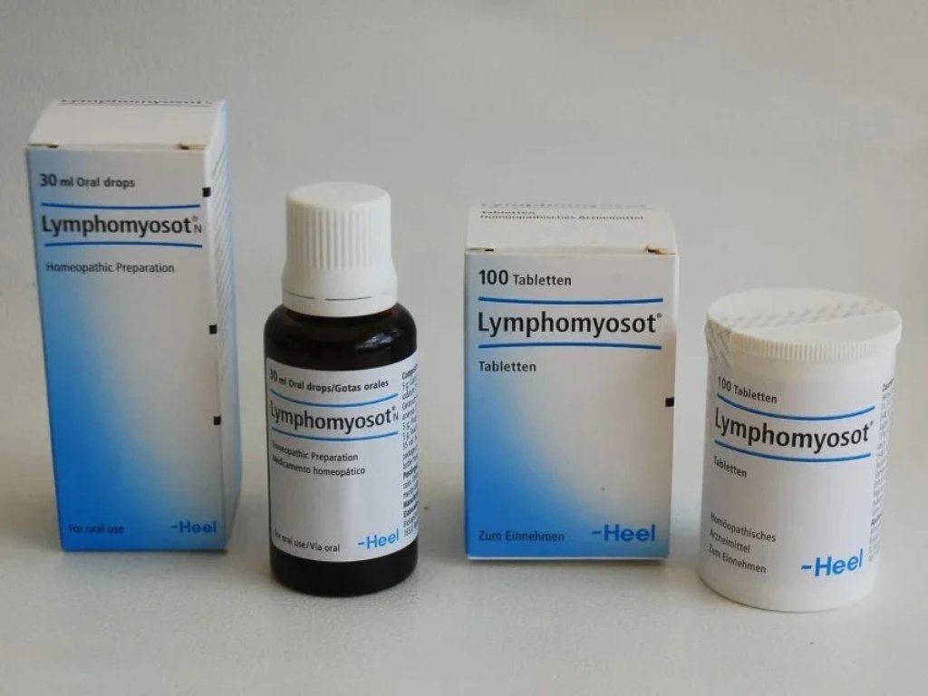 Het Lymfevaatstelsel